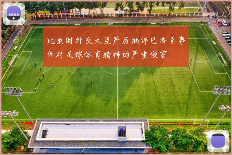 比利时外交大臣严厉批评巴洛贡事件对足球体育精神的严重侵害